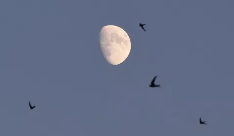 ¿En qué nos impacta el eclipse parcial de Luna y por qué es momento de cosechar el resultado de nuestro trabajo? Foto: Rafael Garcin/Unsplash