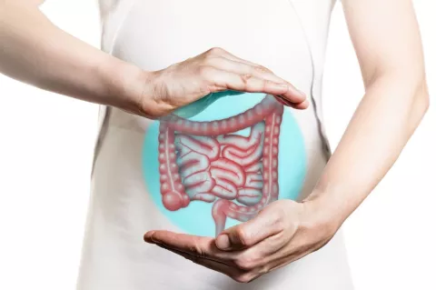 Día Mundial del Cáncer de Colon: ¿Cuánto afecta a las mujeres? Cáncer de colon: ¿cómo prevenirlo?