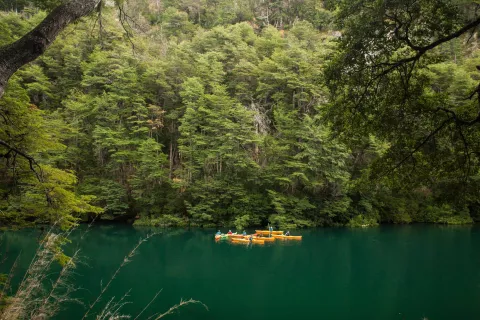 Paraíso patagónico: seis días en kayak por Los Alerces Río Rivadavia. Foto: Gustavo Castaing