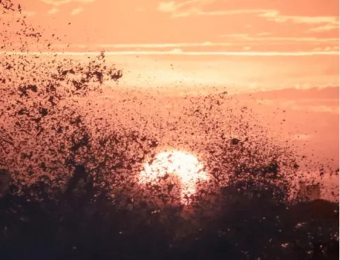 Punta del Este en Semana Santa: 8 lugares para disfrutar de los mejores atardeceres Atardecer en el Chorro, Punta del Este