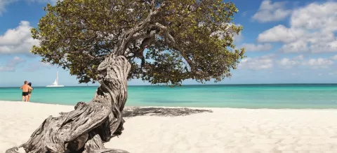 Aruba, una feliz combinación L2SS7J556VFE3CKHMJFISOCJMI.jpg