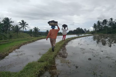 Indonesia: inquietantes rituales y algunos enigmas en la isla de Bali Experiencia intimista en la isla del sudeste asiático