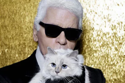 Choupette, la gata de Karl Lagerfeld que heredaría parte de su fortuna .