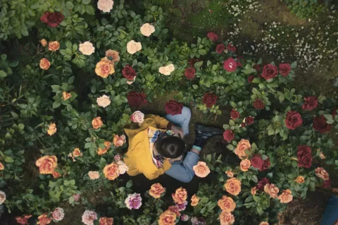 The Sky is Everywhere: una película sobre el amor y la pérdida de la cual no vas a poder dejar de hablar Grace Kaufman es una de las protagonistas de The Sky Is Everywhere, la nueva apuesta de AppleTv+