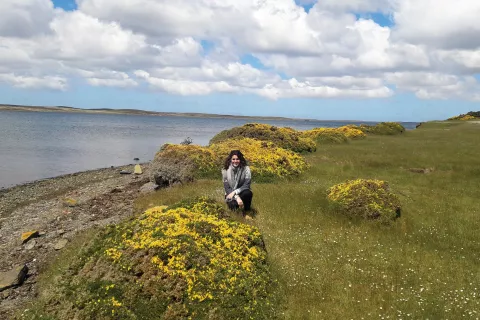 Relato en primera persona: “Viajé a las islas Malvinas” .