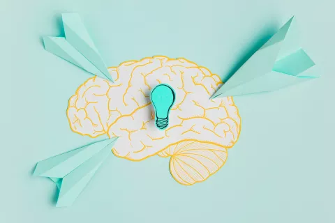 Neuromarketing: claves y estrategias para aplicar a tu negocio Haciendo foco en el consumidor: sumá el neuromarketing a tu estrategia.