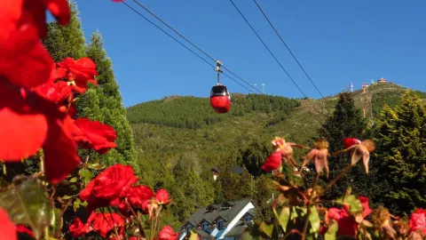 Desde el restaurante se pueden disfrutar vistas hermosas del Nahuel Huapi y las montañas