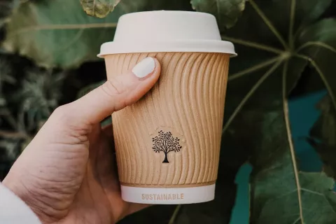 Día Mundial de la Educación Ambiental: 8 hábitos sustentables para poner en práctica este año Foto: Toa Heftiba/Unsplash