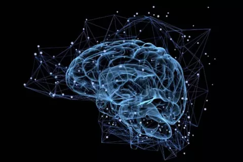 Traumas: ¿Cómo superarlos con ayuda de la neurociencia? Neurociencias: realizan un gran aporte en el tratamiento de los traumas