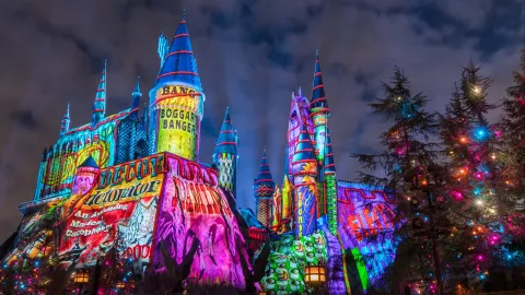 Navidad mágica en el mundo de Harry Potter A todas luces: gran show en el castillo-escuela de Hogwarts