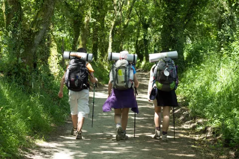 Camino de Santiago: estas son las mejores recomendaciones si querés recorrer los 132 km a pie Si te picó el bichito de convertirte en peregrina, te pasamos la posta del camino, una guía bien práctica para empezar a caminar.