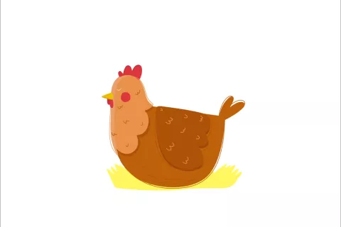 De gallinas felices, orgánicos o ecológicos: qué huevos elegir ZEOVSW3GLVCAJL56FIMW7JNORI.gif
