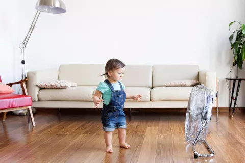 Ventilador y aire acondicionado: consejos para que no afecten la salud ZKMLQPJELVAV7M5O3OXT33V5AU.jpg