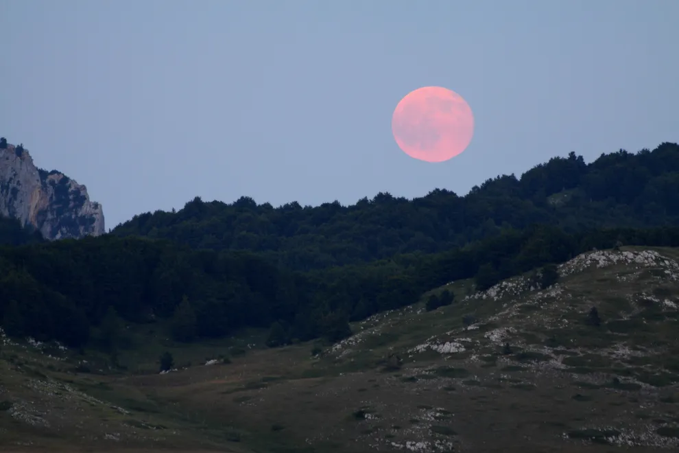 Luna rosa: cuándo podés verla