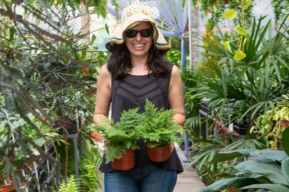 Consejos de expertos para hacer una buena compra en el vivero.