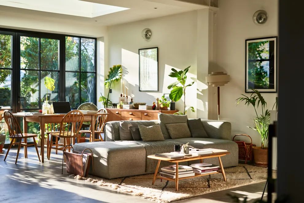 5 plantas de interior que resisten la calefacción y la poca luz en invierno, según una experta