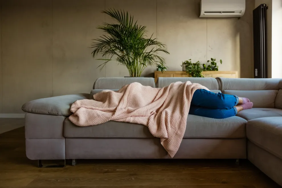 Si con temperaturas bajo cero no te dan ganas de salir de abajo de una frazada... ¿pensaste en tus plantas? ellas también necesitan abrigo durante el invierno.
