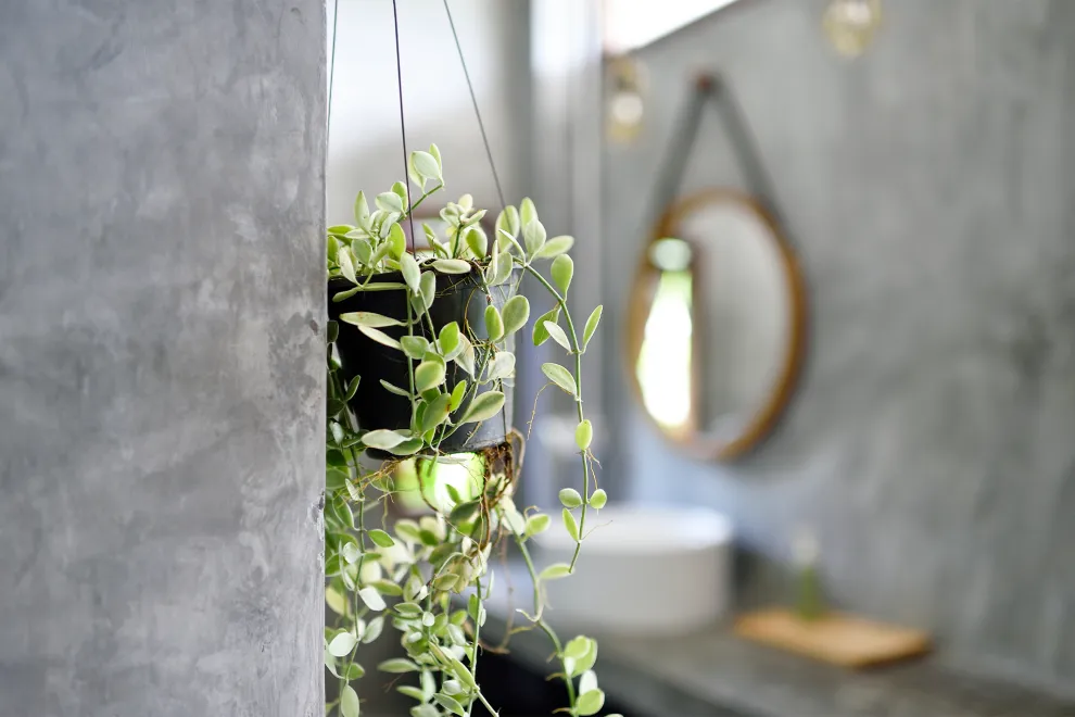 Foto de baño.