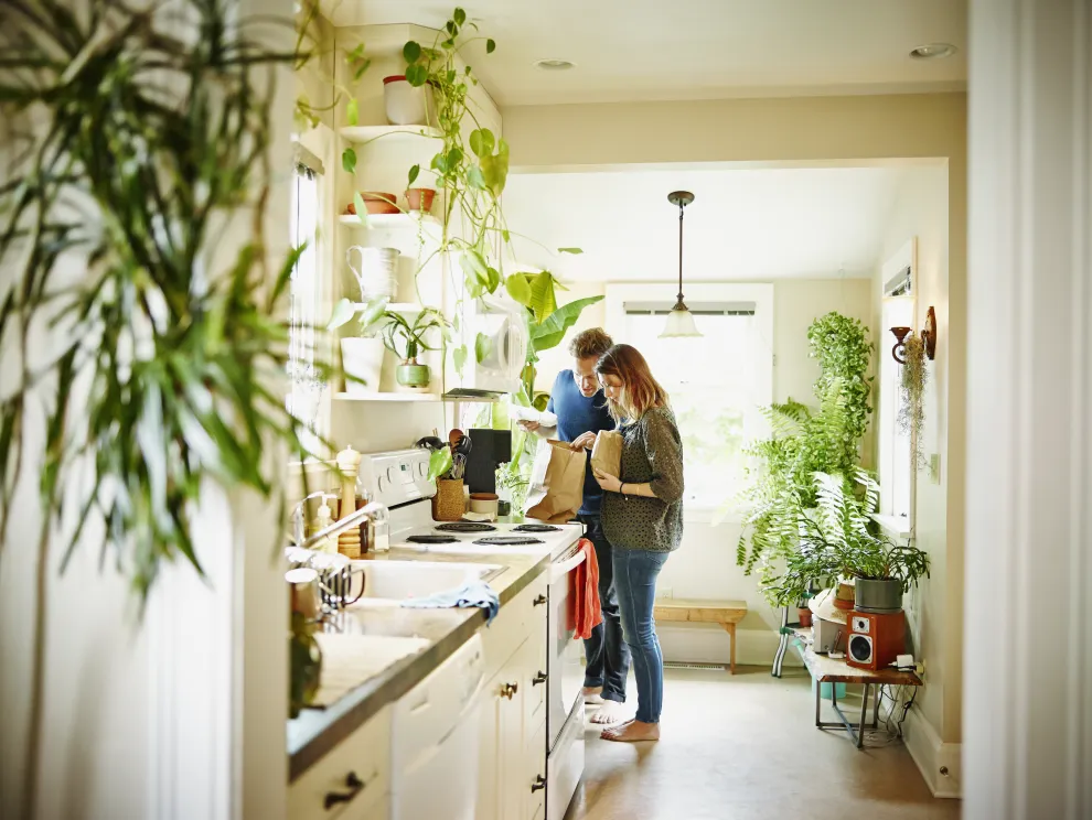5 plantas ideales para darle vida y color a tu cocina este verano