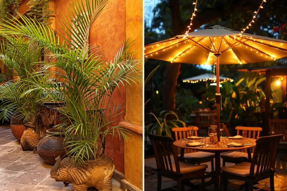 Foto de mini patios.