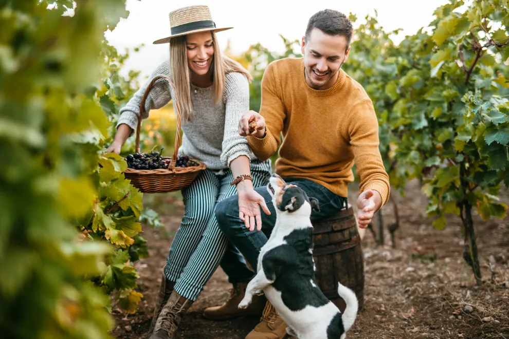 Foto de pareja en bodega con perro.