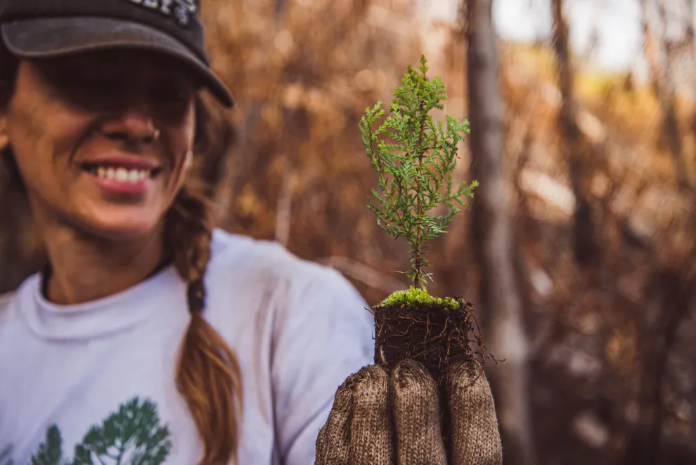 La ONG ReforestArg se ocupa de la restauración ecológica después del fuego: cómo es ese trabajo tan esencial.